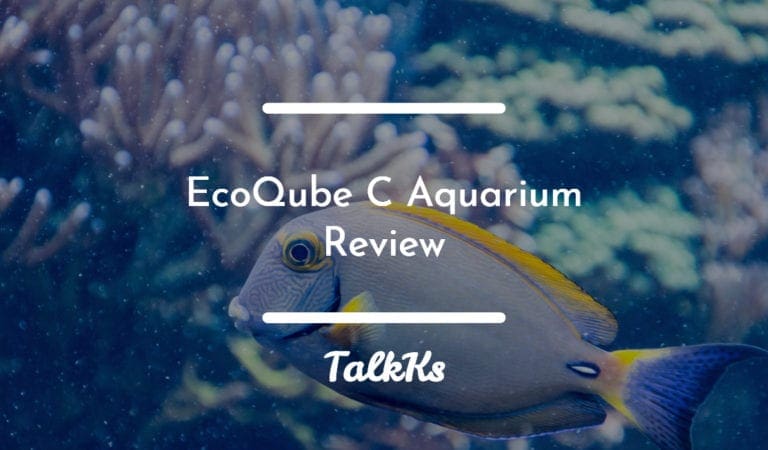 EcoQube Aquarium Review