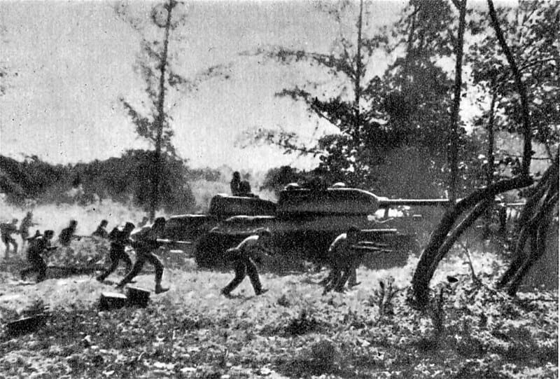 A black and white photo of a tank in the woods.